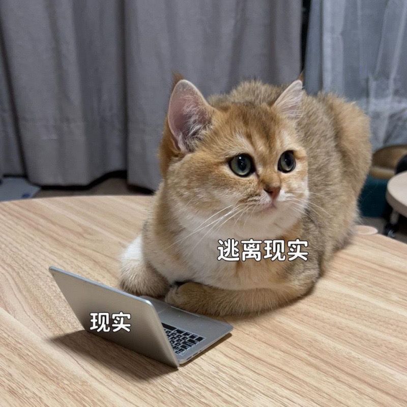 创意迷你电脑小镜子笔记本电脑随身带造型便携折叠苹果化妆镜镜子详情8