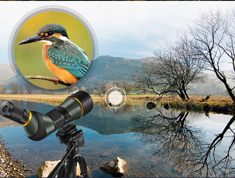 The Free Tiger Chasing Xingyuan ED20-60X80 series is a large-aperture single-tube high-magnification high-definition low-light night vision bird-watching lens pic 22