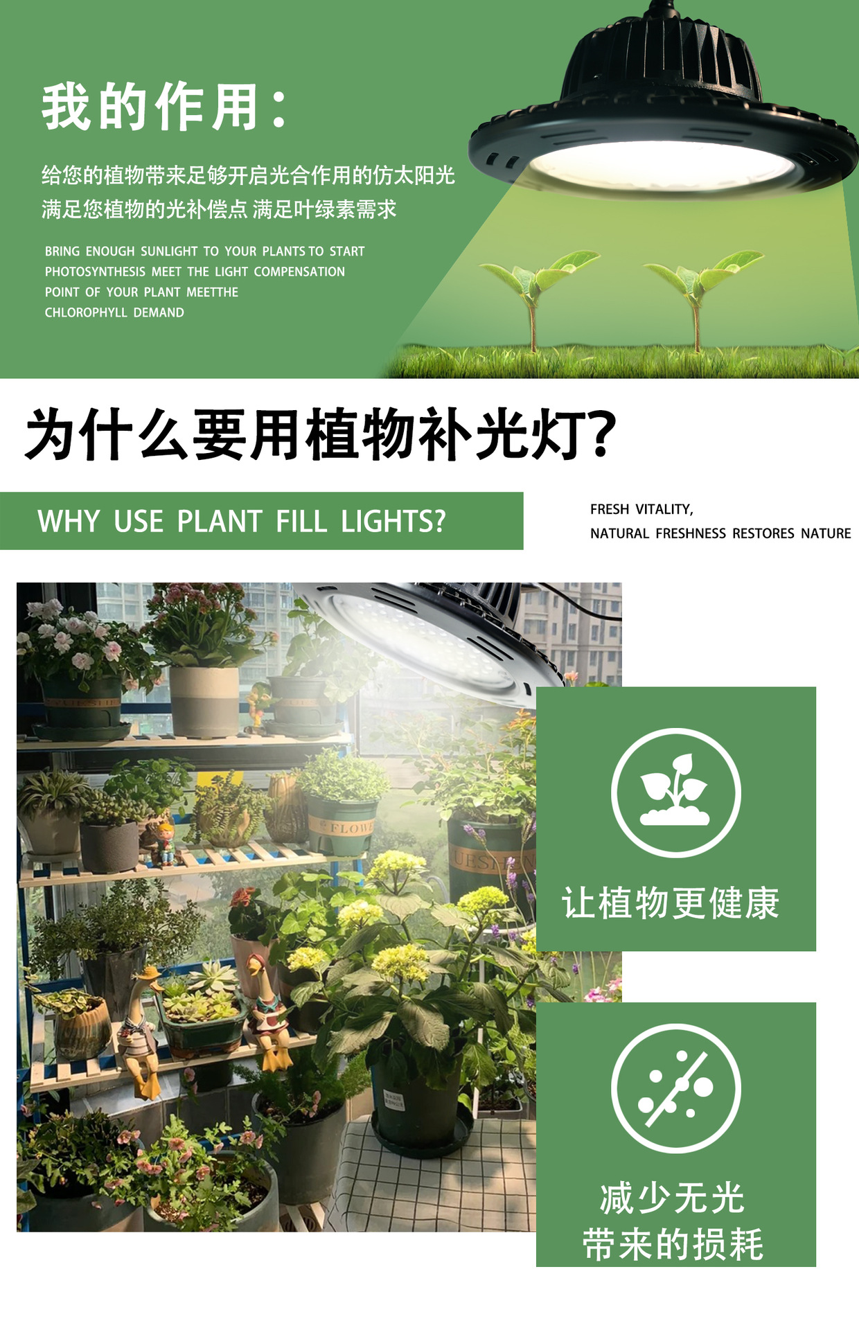 Succulent rose plant supplementary lighting lamp, sunlight-like full-spectrum green plant indoor orchid growth lamp, algae explosion lamp pic 2