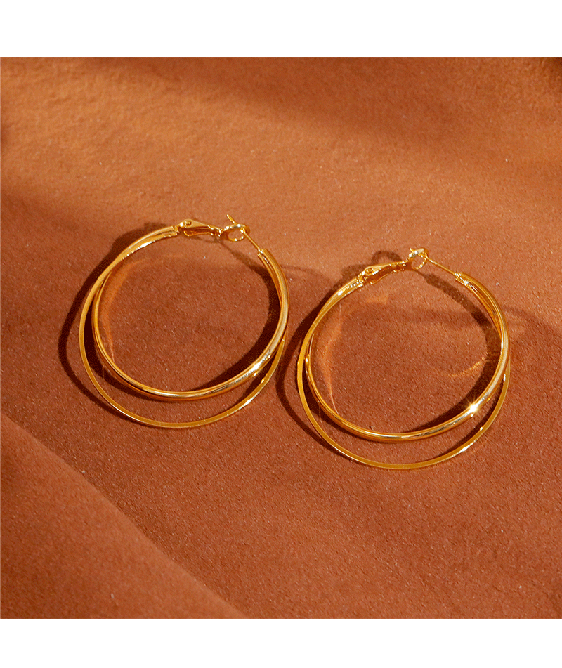Hyacinth moda personalidad metal doble anillo aretes mujeres luz lujo alto sentido temperamento orejeras grandes orejeras de círculo orejeras hebillas pic 6