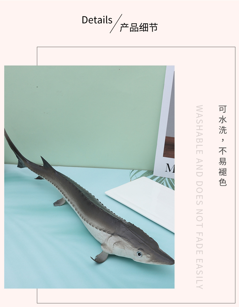 仿真PU海洋鲳鱼鲤鱼鲫鱼摆盘装饰道具工艺品礼品儿童认知玩具详情5