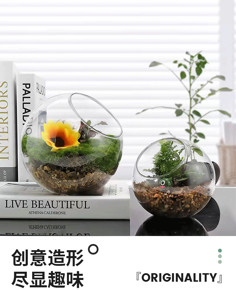 Micro-landscape ecological bottle, transparent glass hanging succulent plant moss hanging bottle, diy handcrafted green plant landscape vase pic 3