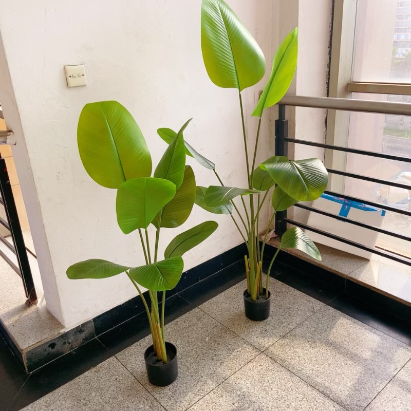 工厂店仿真植物盆栽雪茄旅人蕉美人蕉大叶子高仿植物装饰造景摆件详情11