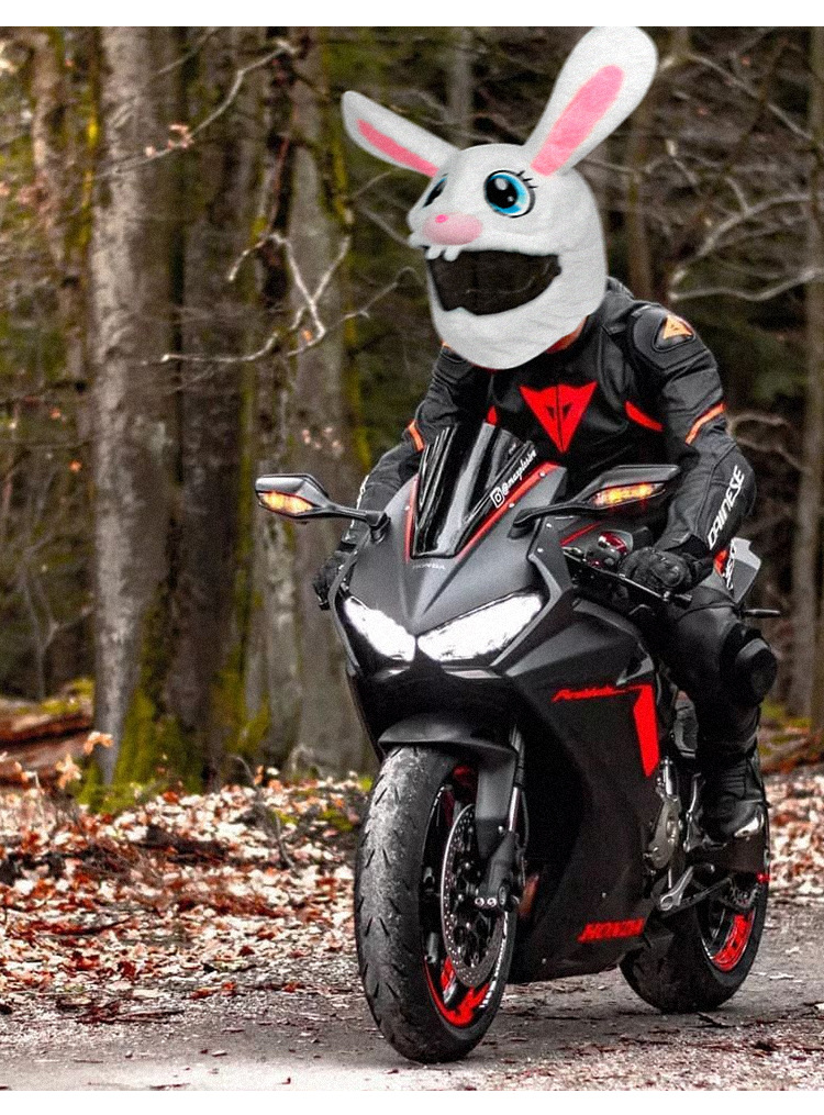 New plush motorcycle warm helmet protection cover, cartoon innovation helmet protection, fun long-eared rabbit helmet cover pic 10