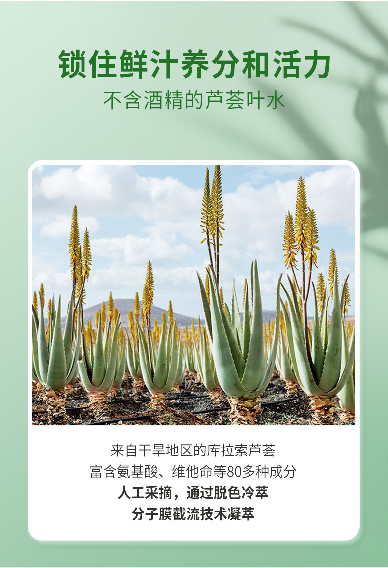 热卖OPOSi库拉索芦荟凝胶500g大容量面部护理淡化痘保湿补水润肤详情13