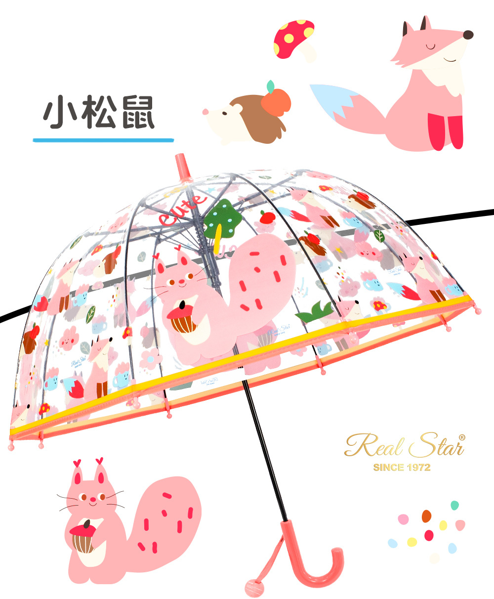 25年新品【跨境】儿童透明雨伞卡通猫咪恐龙图案19寸外贸伞现货详情7