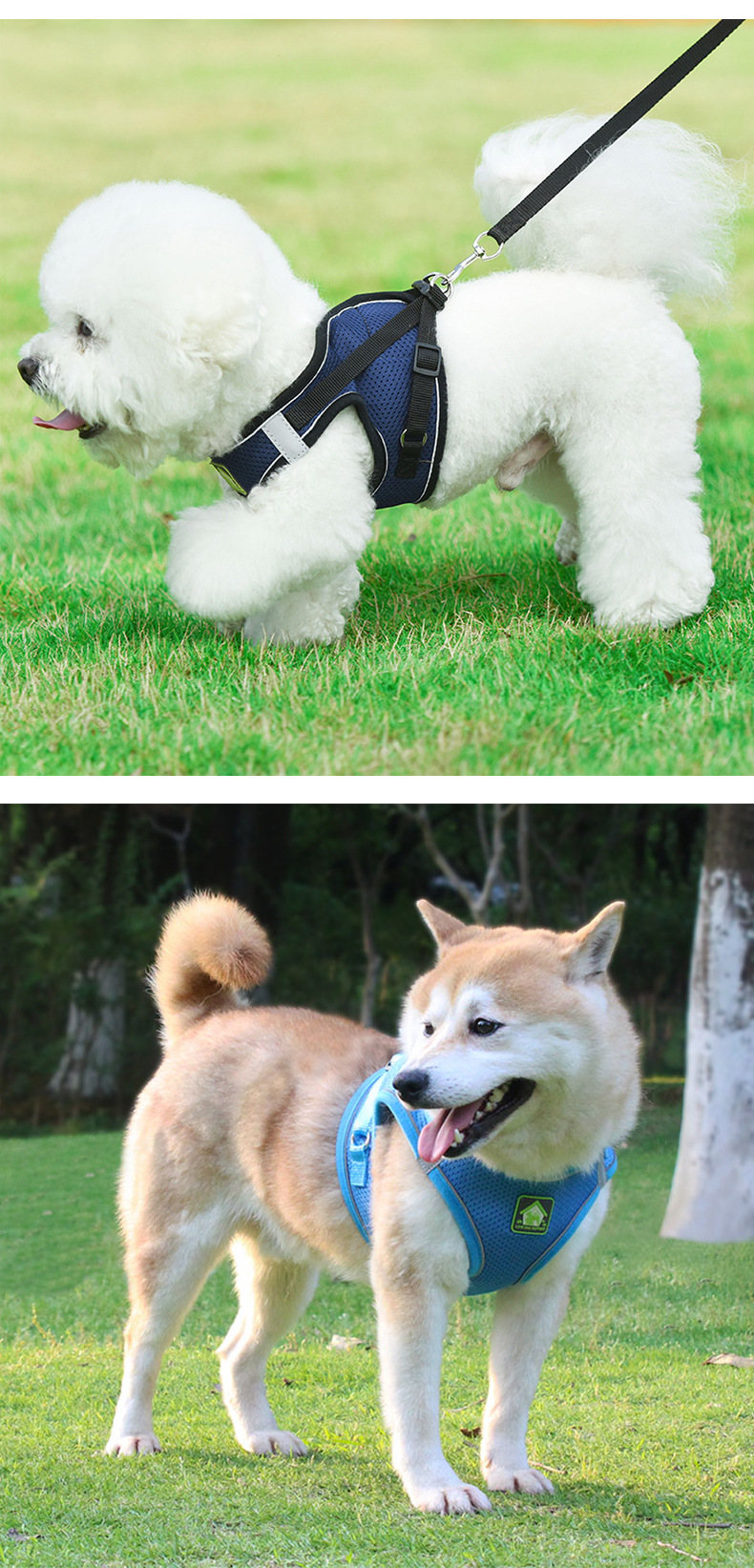 New dog chest and back pet vest style puppy leash, reflective and breathable Bichon Frise leash, outdoor dog walking leash pic 15