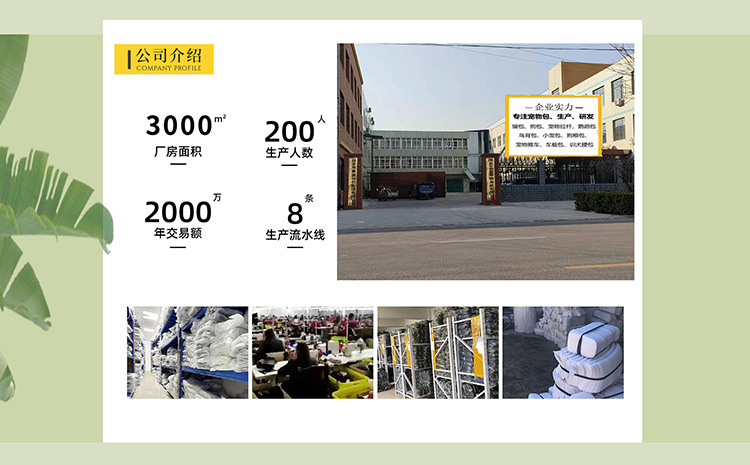 猫包外出包便携透气双肩猫背包可折叠大容量猫咪外出旅行小型宠物详情1