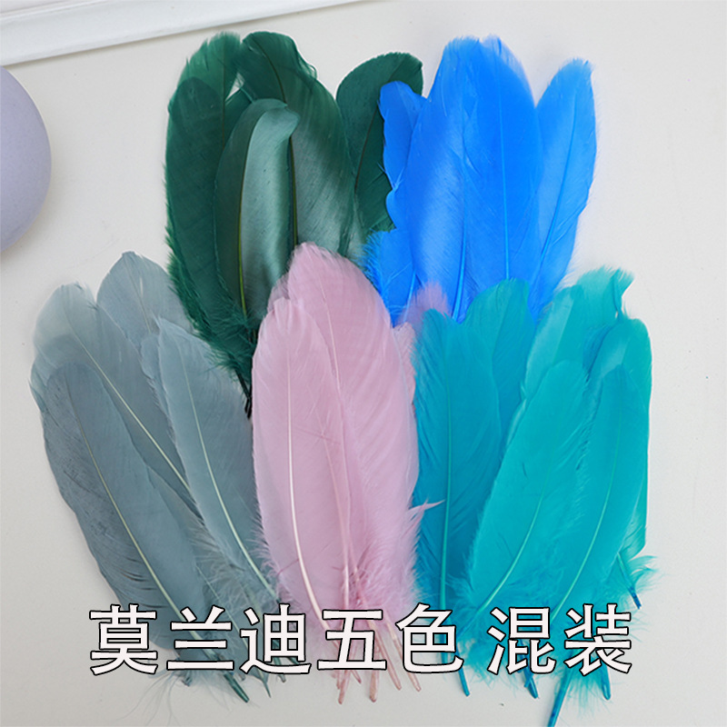 羽毛批发马卡龙鹅毛幼儿园手工diy彩色羽毛大飘装饰美术课材料详情14