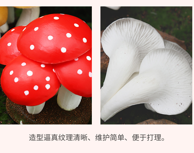 仿真迷您植物香菇平菇菌类套装早教植物静态摆件认知模型套装现货详情6