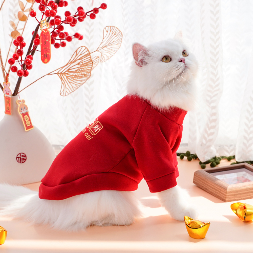 Año nuevo ropa de mascotas otoño invierno más peluche dos pies hoodies para perros ropa de gato teddy suministros fabricantes al por mayor pic 17