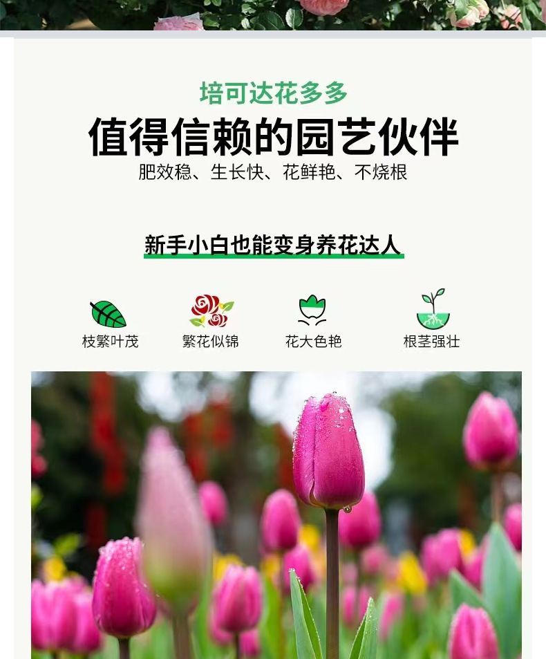 花多多2号促花肥1号通用型肥料水溶肥多肉植物盆栽促开花家用花肥详情4