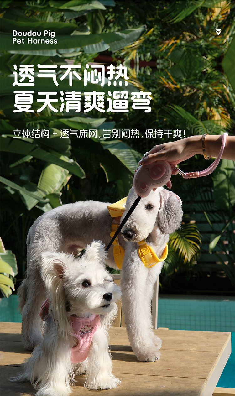 宠物遛狗狗溜猫咪胸背带户外牵引狗绳子项圈衣服防爆冲猫用品批发详情3