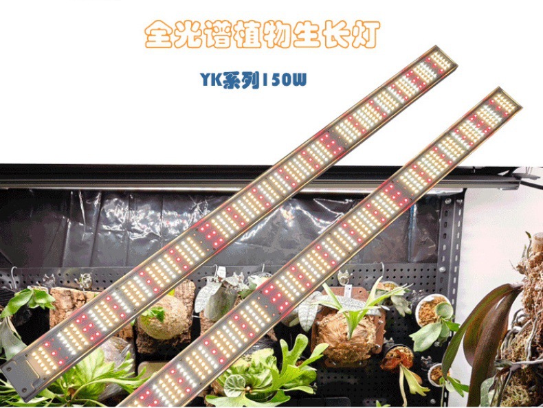 Abbott full-spectrum plant supplementary lighting: Rose, Orchid, turtle-back bamboo, heat-planted plant LED plant growth lamp pic 1