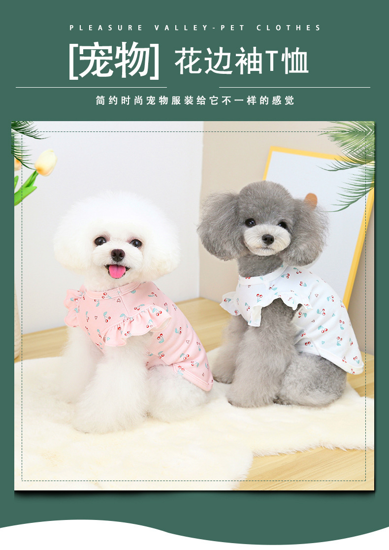 Puppy clothing, lace sleeve T-shirts, small and medium-sized dogs, Teddy pets, puppy clothes, Pomeranian spring and summer clothing, short sleeves pic 1