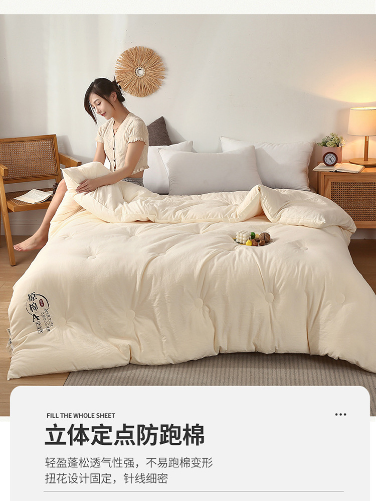 A类原棉大豆纤维被子加厚被芯保暖冬被单人棉被双人春秋被代发详情12