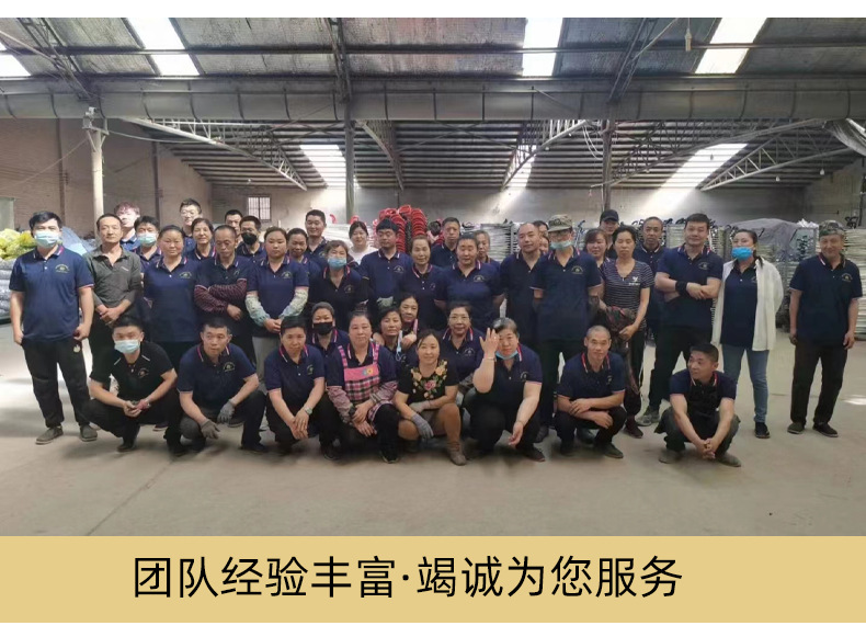 爬楼买菜小拉车三轮菜市场超市买家折叠购物车老人便捷折叠小推车详情30