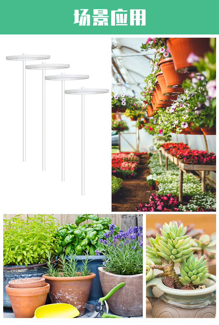 ♡ Energy-saving Angel Ring Plant Supplementary Light: LED Indoor Full-spectrum intelligent supplementary light for Bonsai and succulents pic 12