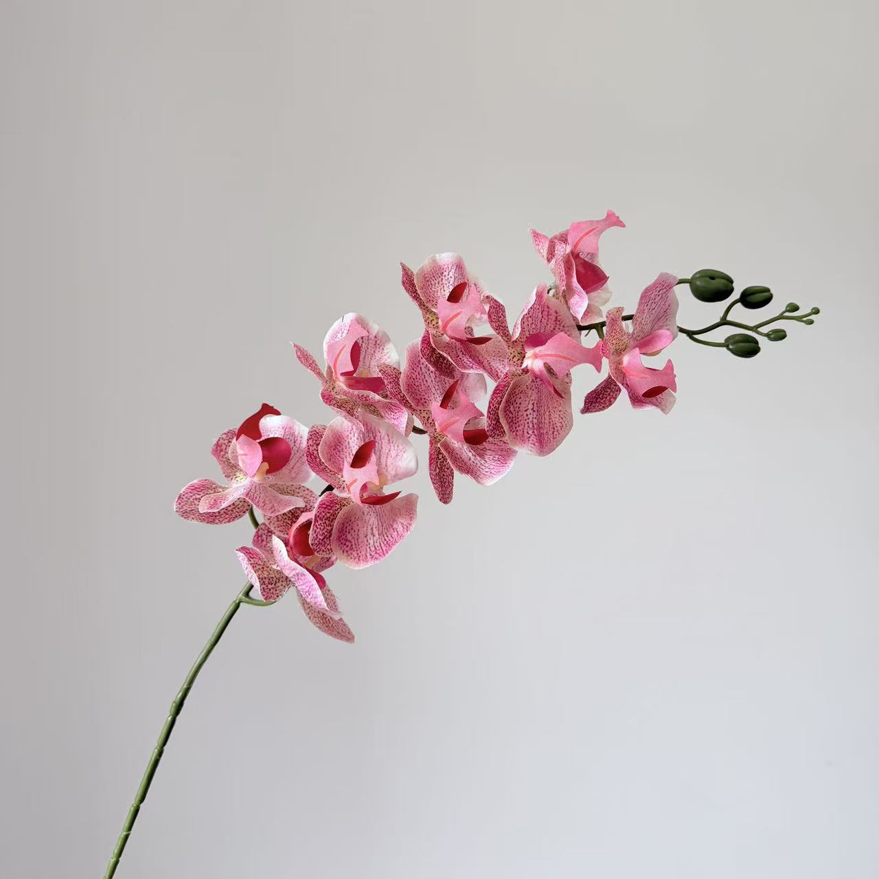 9头蝴蝶兰仿真花手感高级感逼真假花兰花艺场景布置酒店婚庆用花详情32