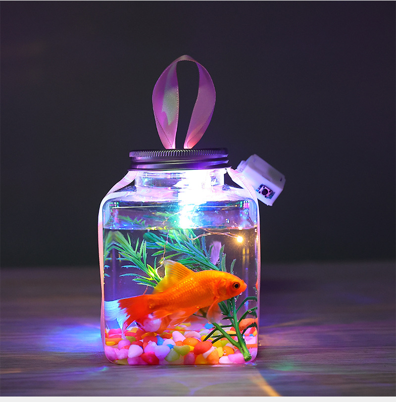 网红夜市摆摊罐罐鱼材料瓶装手工观赏鱼带灯鱼缸小夜光小玩具地推详情6
