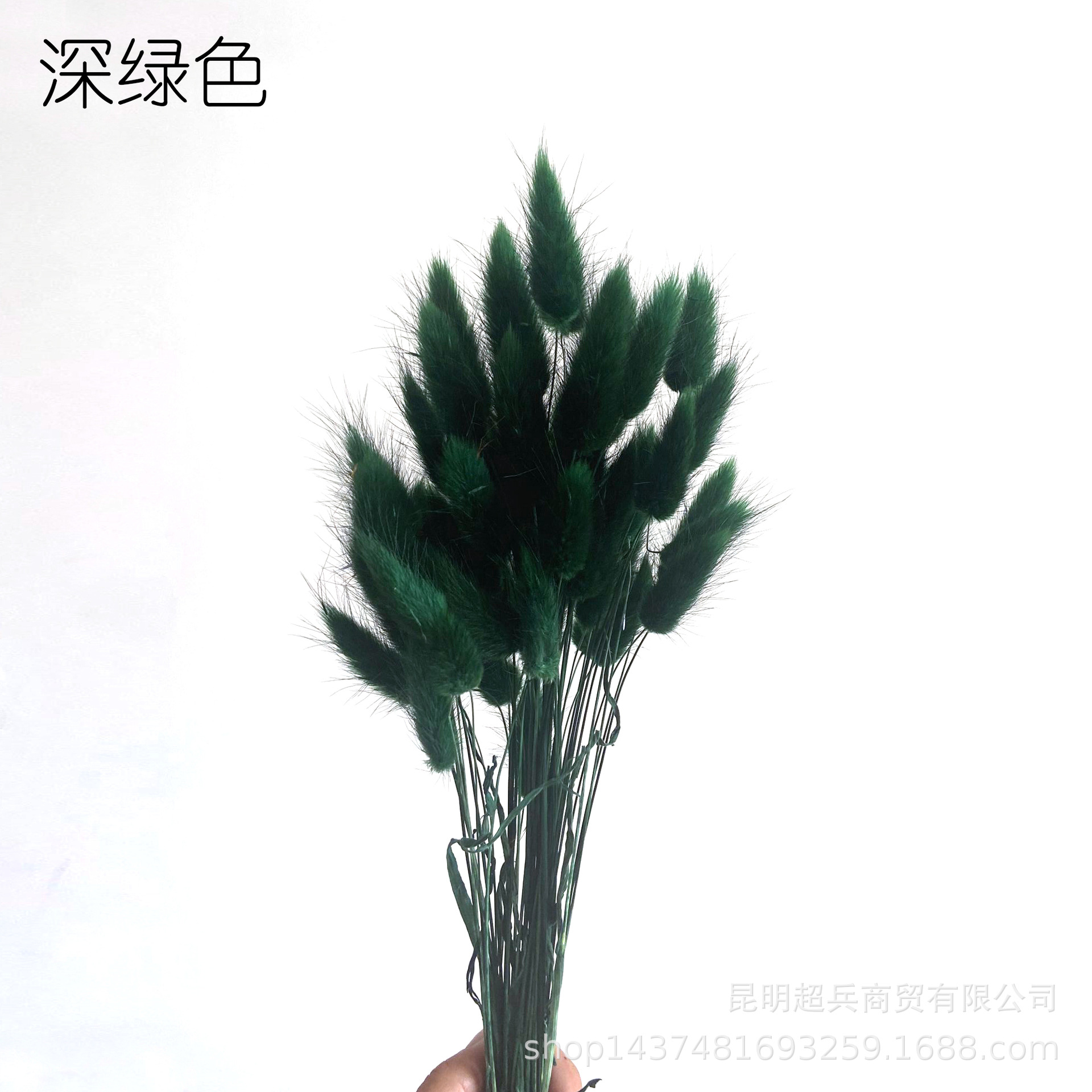 QQ图片20210611113514.jpg