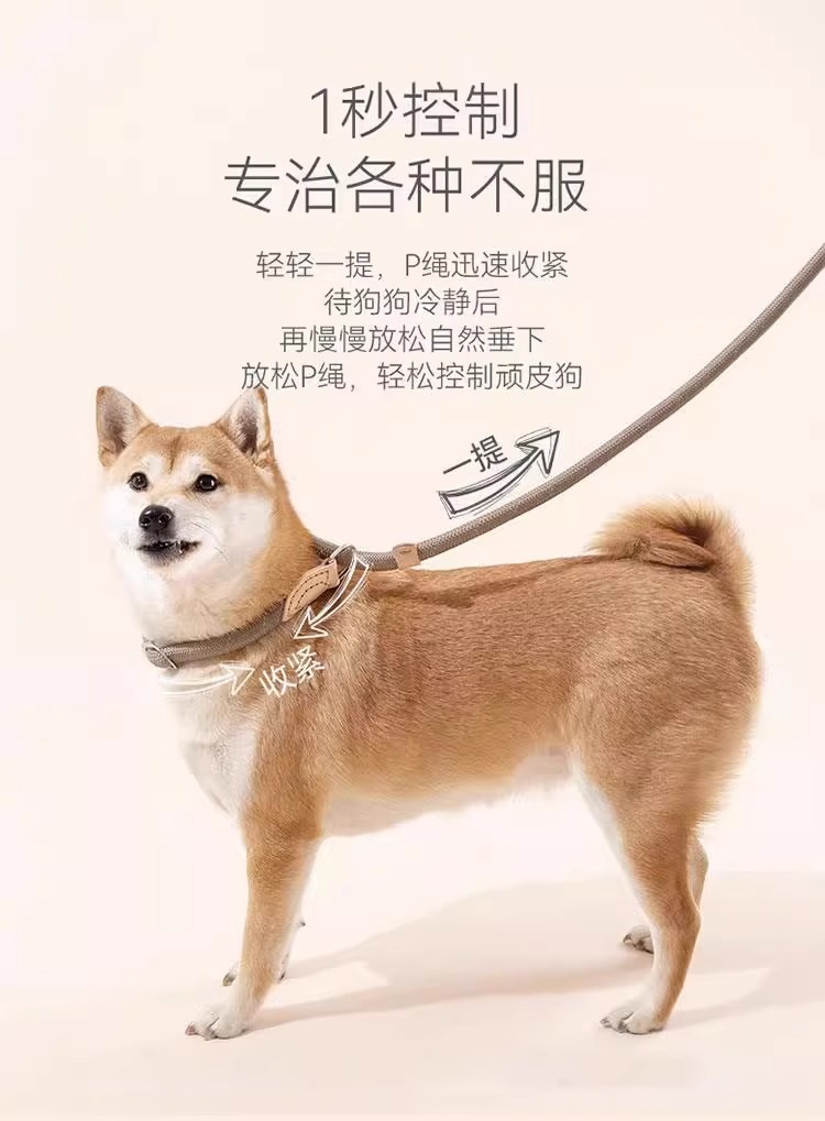 狗狗绳子防爆冲P链遛狗牵引绳防挣脱狗链子中大型犬防爆冲拴狗绳详情40