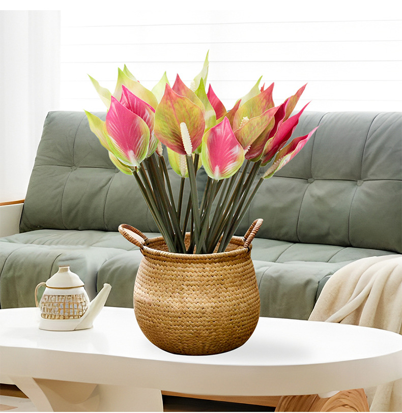 Floral decoration, potted plants, green plants, indoor ornaments, succulents, combination potted plants pic 6