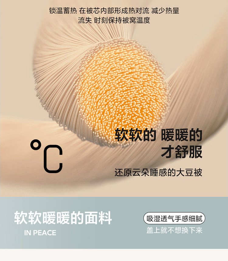 A类李官奇大豆纤维被子大豆被芯加厚冬被保暖冬季被芯春秋被批发详情19