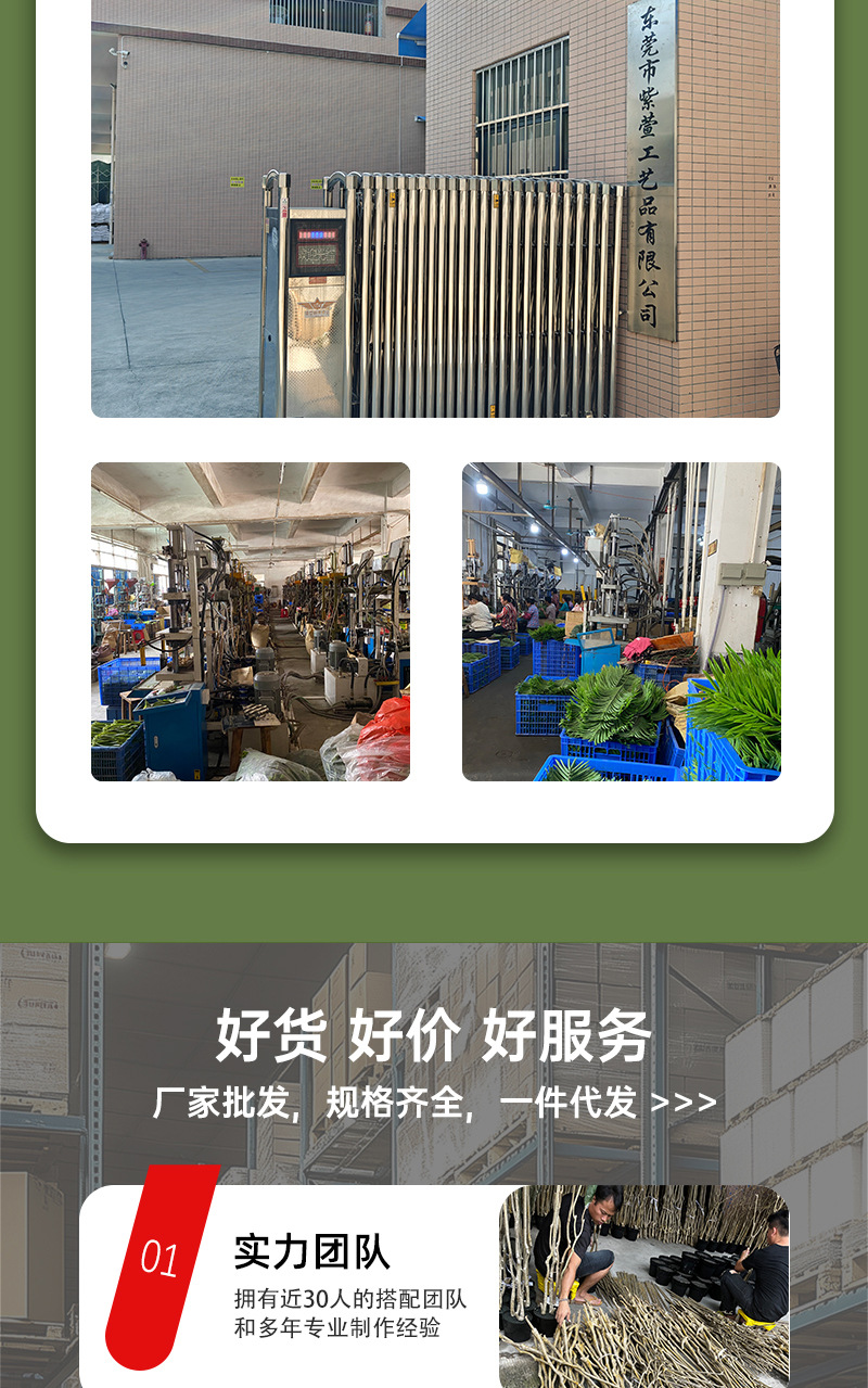 Gran nórdico planta de simulación sala de estar falsa plantación verde árbol de simulación plantación plantación de canna yuanhua maceta decoración de paisaje plantación verde simulada pic 3