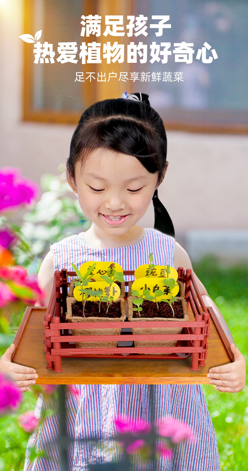 Sunshine Little Vegetable Garden Wooden Science Experiment Set DIY Dragon Boat Planting Science and Technology Small Experiment Toys pic 2