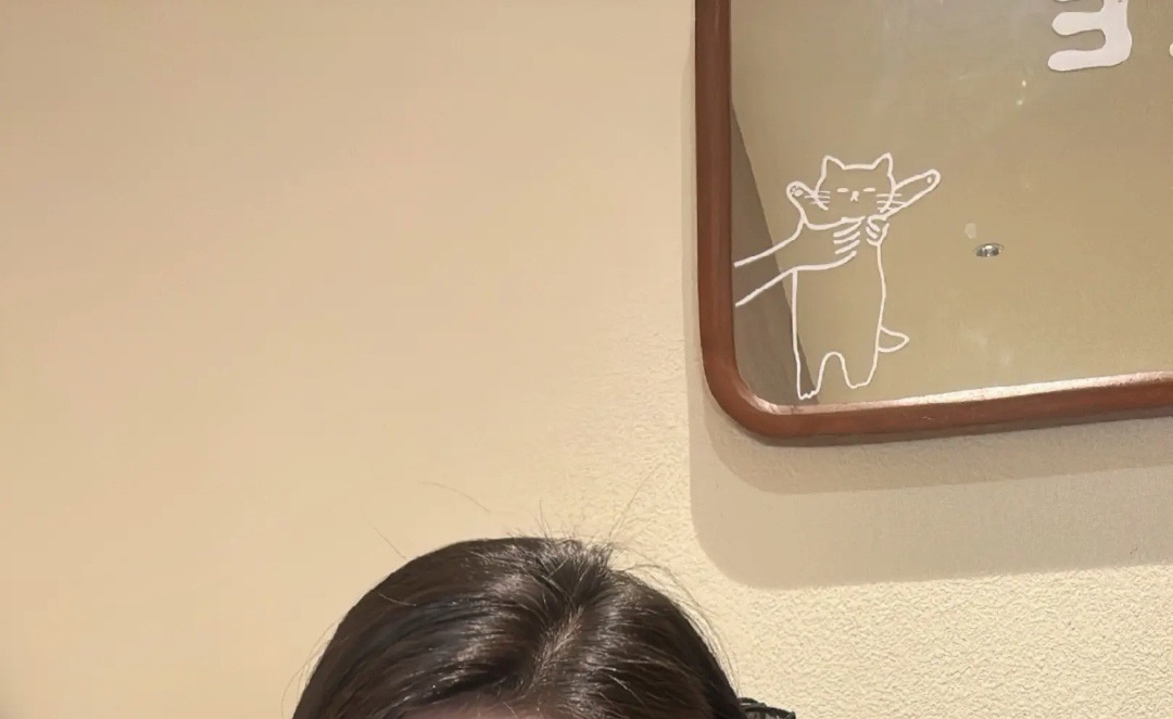 抖音爆款新款女士黑色蝴蝶结抓夹 AB面刘海夹 公主头侧边夹子 精致头饰 发夹详情6