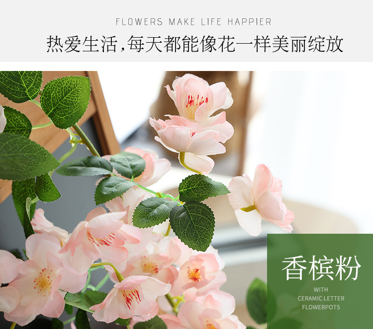 樱花_05.jpg