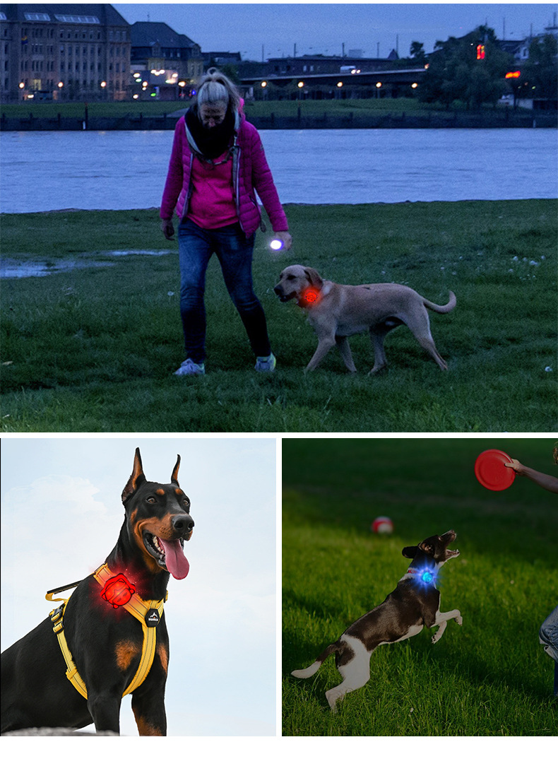 Pet night light dog walking lamp to prevent dogs from getting lost at night, illuminated pendant, charging LED warning, cat and dog flashing night walk pic 11