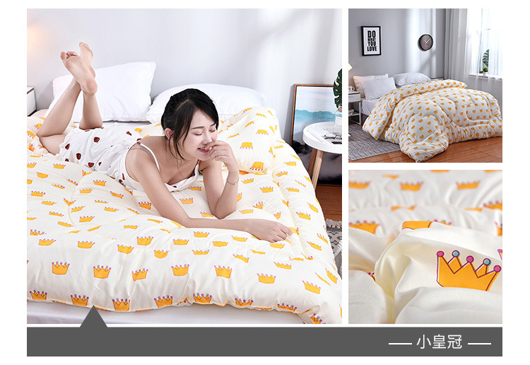 Wholesale of spring and autumn quilts, thickened and warm winter quilts, and single and double student winter quilts for all four seasons pic 6