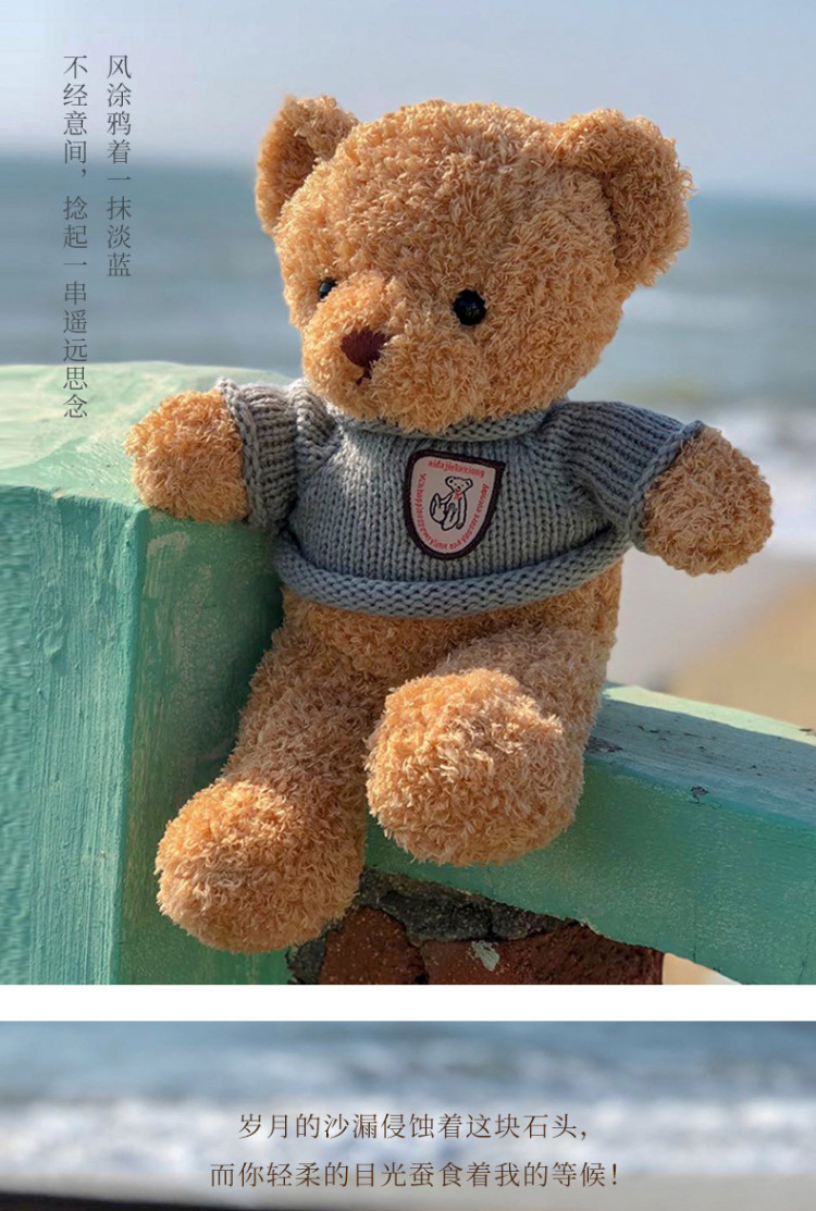 可爱抱抱熊泰迪熊公仔玩偶陪睡穿衣小熊布娃娃毛绒玩具礼物批发详情1