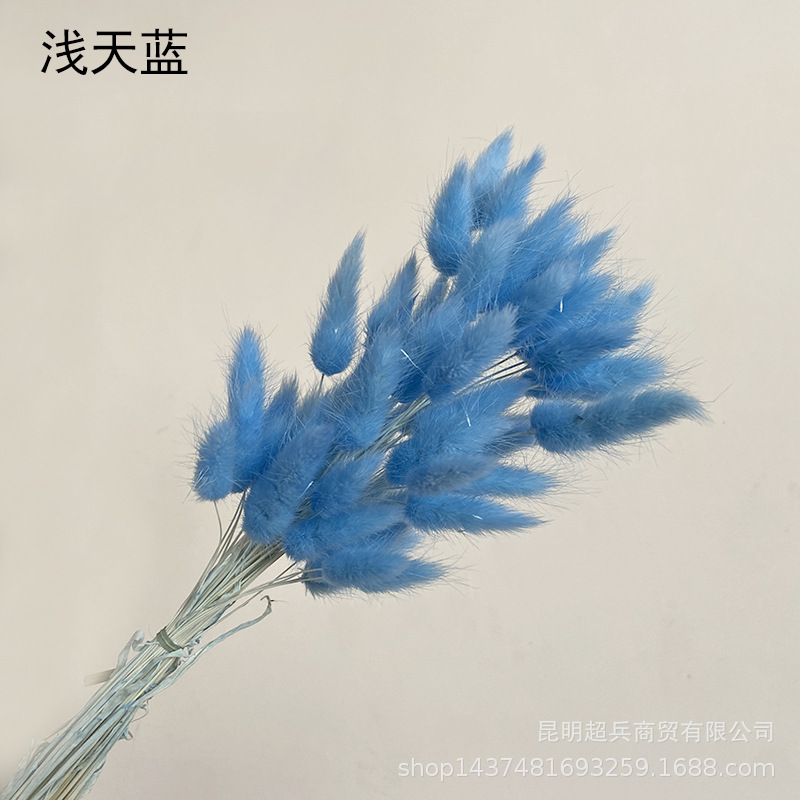 浅天蓝.jpg