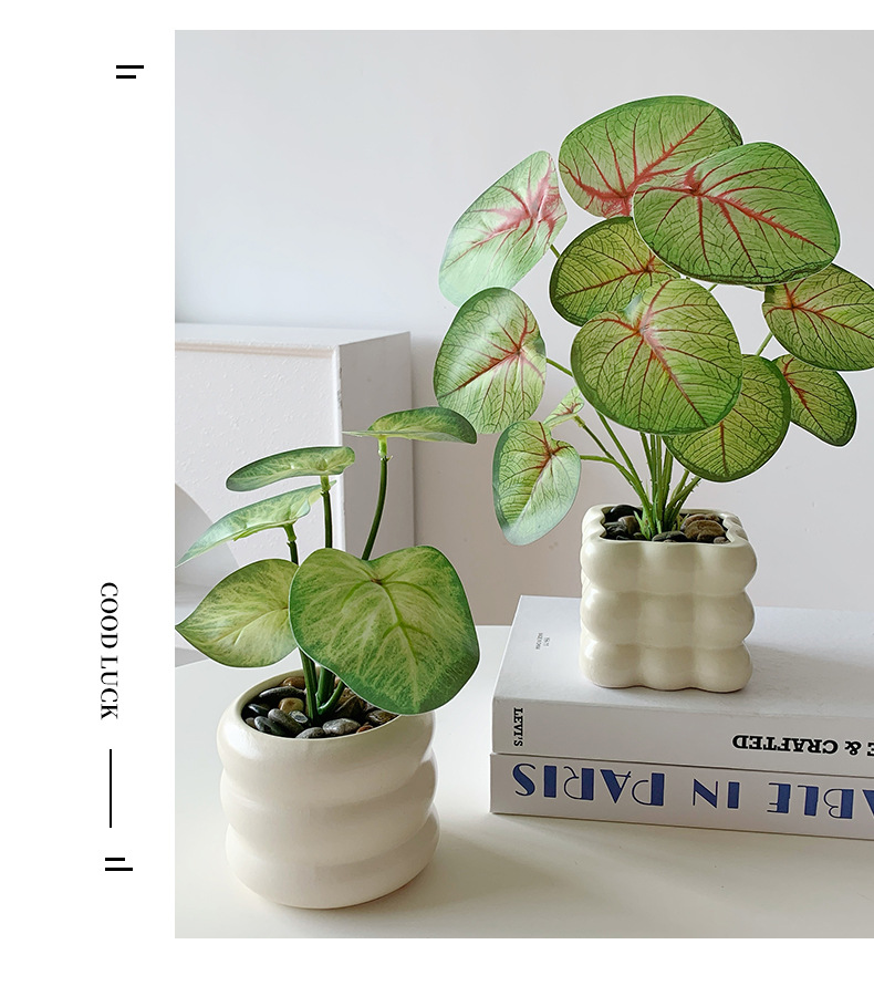 仿真绿植假花摆件龟背叶小盆栽办公桌面室客厅茶几植物摆设装饰品详情10