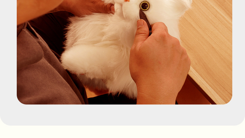 布偶猫咪背包仿真双肩包包玩偶公仔毛绒玩具生日礼物批发三花猫详情19