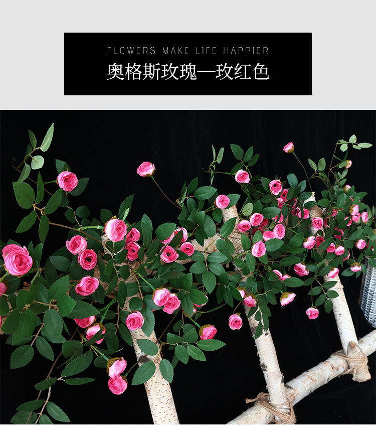 未标题-1_26.jpg