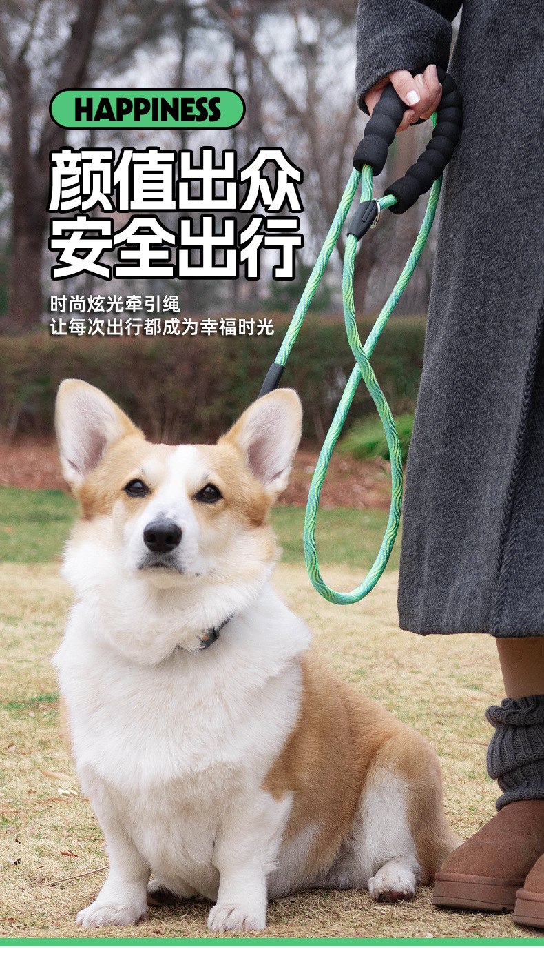 Dog leash, colorful nylon reflective round rope, large dog explosion-proof p rope, dog leash, medium and large dog leash pic 1