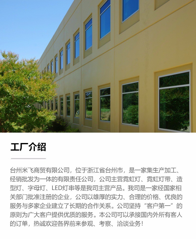热销3v低压柔性霓虹灯带 软硅胶发光灯条LED造型氛围灯管跨境电商详情14