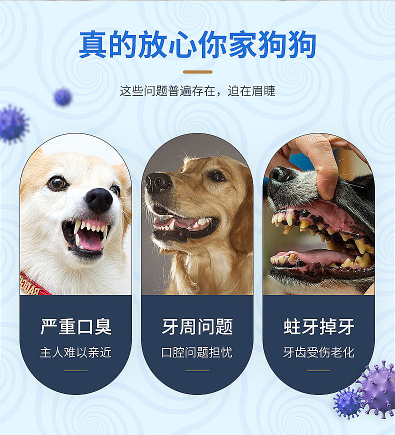 Pet toothbrush and toothpaste 4-piece set, pet dog oral cleaning toothbrush and toothpaste set, dog beef-flavored toothpaste pic 6