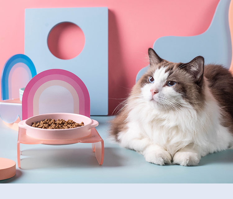 Wholesale of Korean Bridga double-eared cat bowls, dog food bowls, ceramic pet bowls, cat and dog food bowls without black chins, and slow food bowls pic 14