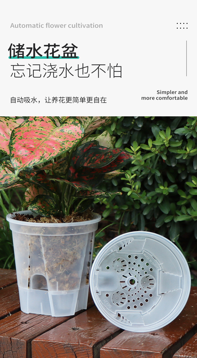 新款储水透明青山盆自吸水懒人盆控根盆朱顶红蝴蝶兰塑料花盆批发详情6