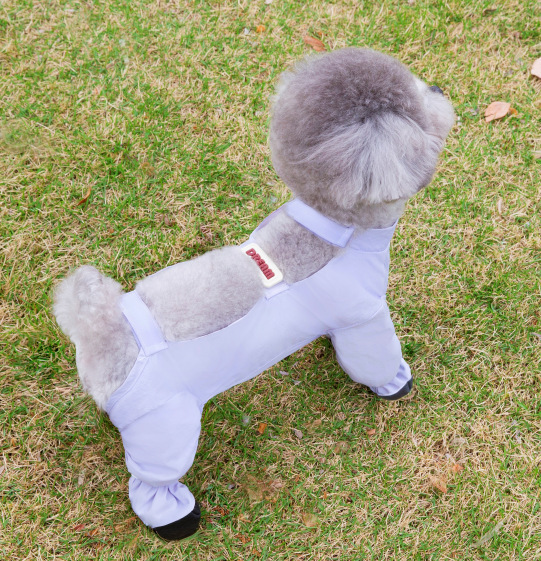 New lightweight waterproof fabric for pet dogs, with corner and belly wraps, anti-dirt and anti-dew, 25 toe wraps, anti-dirt pants pic 7