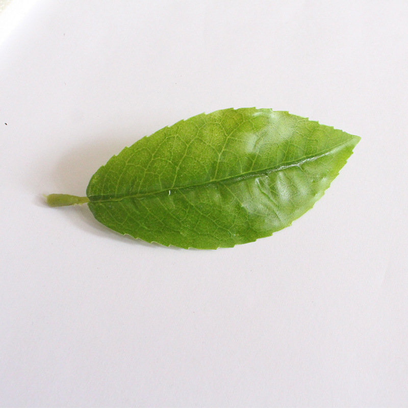 仿真红花油茶叶绿植单片毛尖茶叶绿茶大白茶红茶园林装饰摆设批发详情17