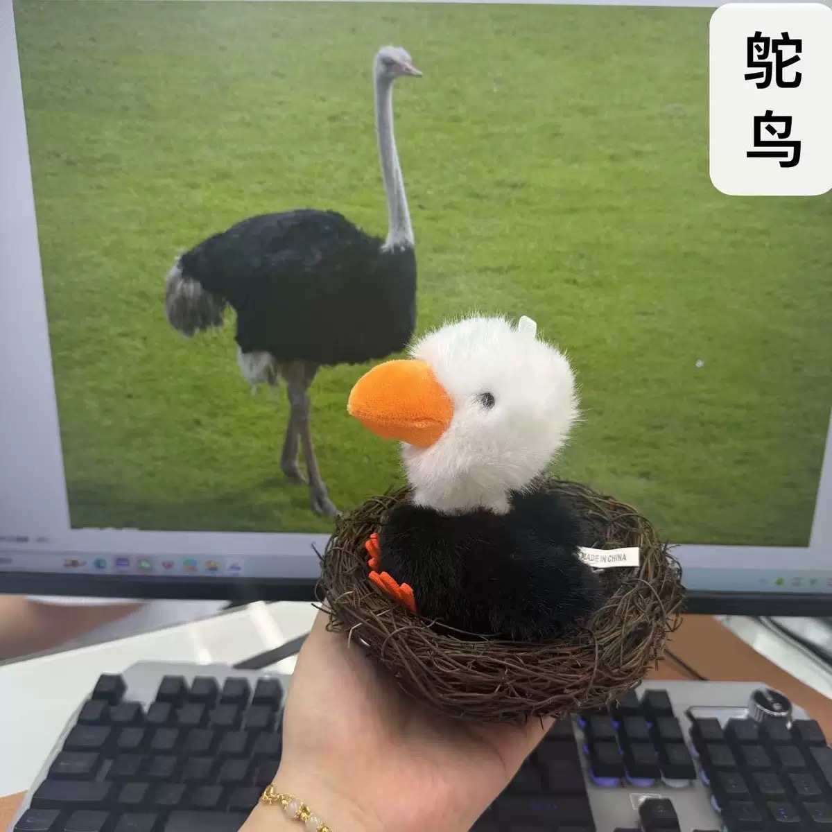 趣味发声星星人毛绒挂件钥匙扣公仔三丽鸥小鸟挂件详情15