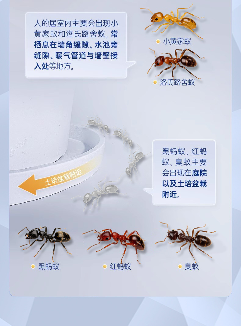 定制OEM/ODM赵师傅蚂蚁药贴牌代工灭红火蚁白蚁胶饵剂野外户外用详情9