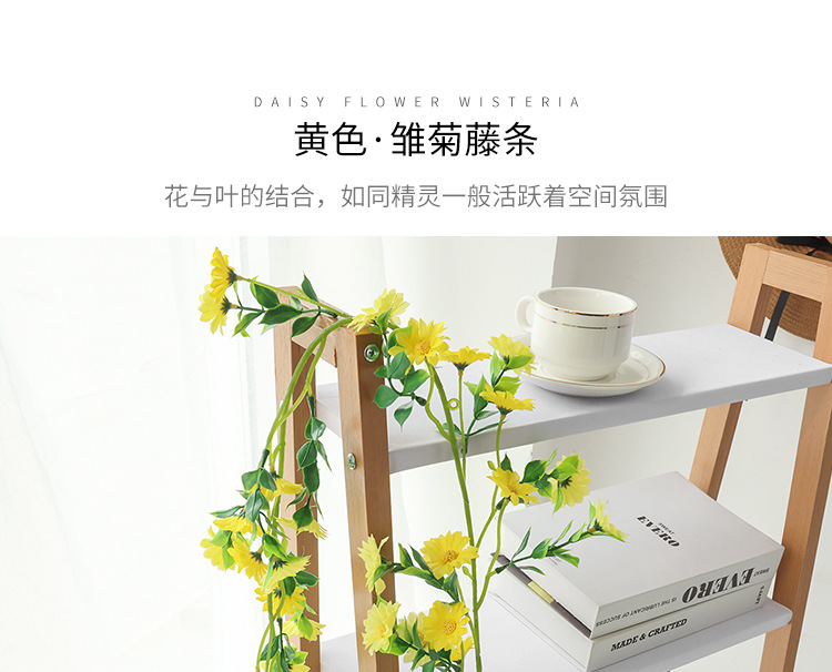 小雏菊---副本_05.jpg
