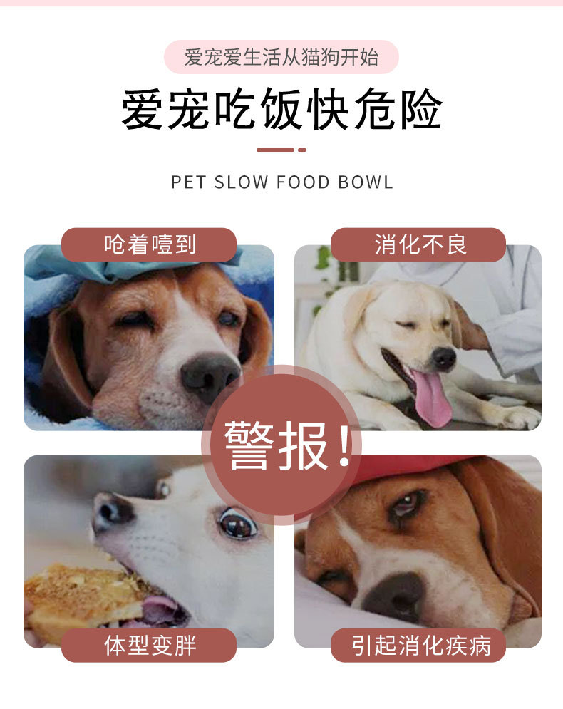 Candy-colored pet slow food bowl, dog choking prevention bowl, pet bowl, health bowl, color box set pic 3